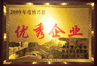 2009年度博興縣優(yōu)秀企業(yè)